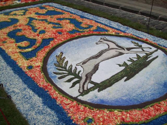 Infiorata 2011 Santo Stefano di Camastra 047.JPG