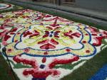 Infiorata 2011 Santo Stefano di Camastra 053.JPG