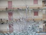 NEVE A SANTO STEFANO DI CAMASTRA 31 - 12 - 2014