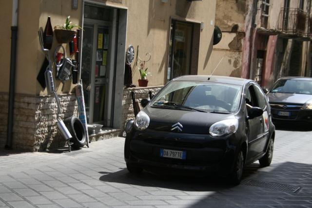 salvo la rosa (101).JPG