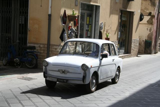 salvo la rosa (107).JPG