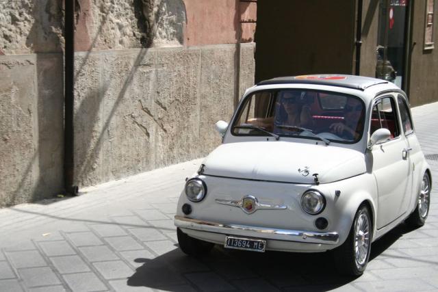 salvo la rosa (112).JPG