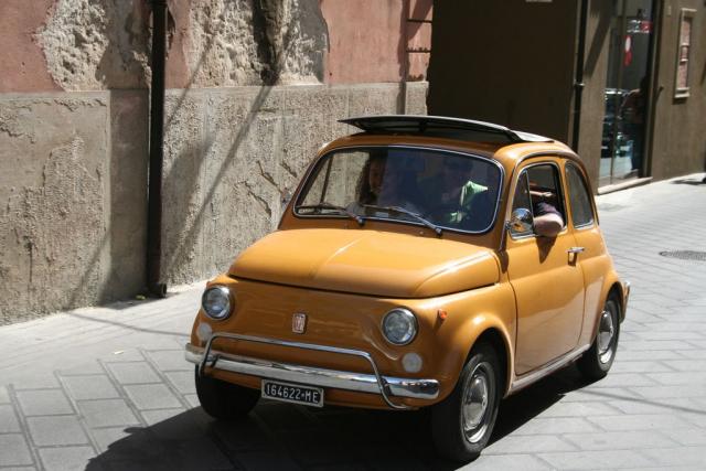 salvo la rosa (114).JPG