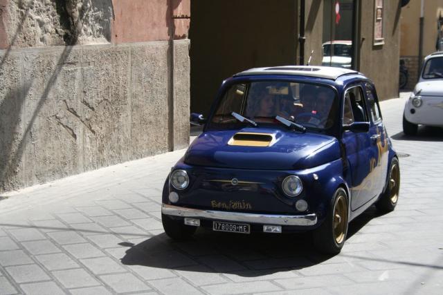 salvo la rosa (120).JPG