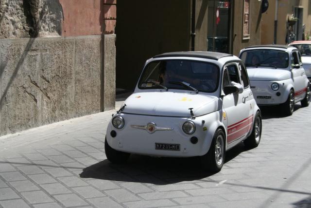 salvo la rosa (121).JPG