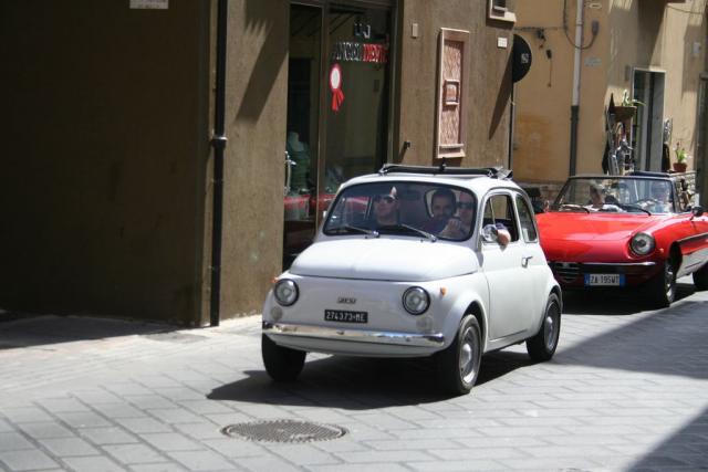 salvo la rosa (3).JPG