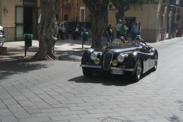 salvo la rosa (33).JPG