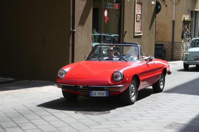 salvo la rosa (4).JPG