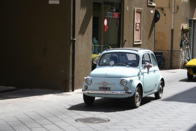 salvo la rosa (5).JPG