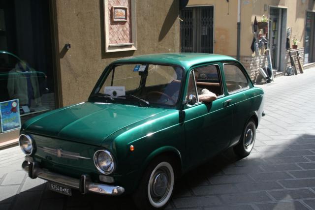 salvo la rosa (77).JPG