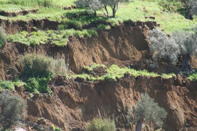 FOTO DI SALVO LA ROSA (123).JPG