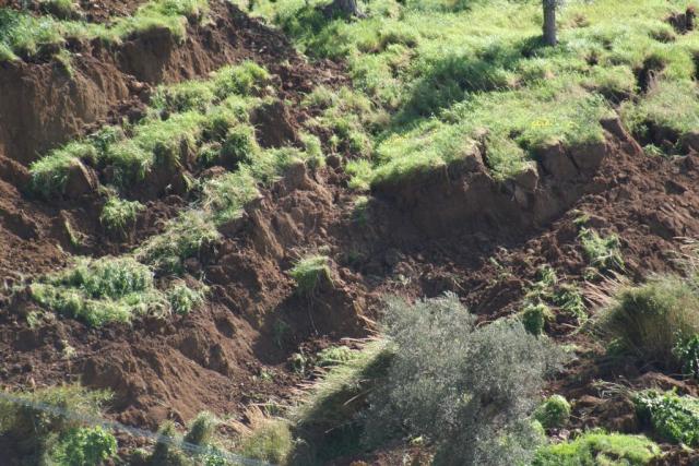 FOTO DI SALVO LA ROSA (124).JPG