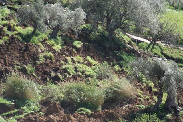 FOTO DI SALVO LA ROSA (126).JPG