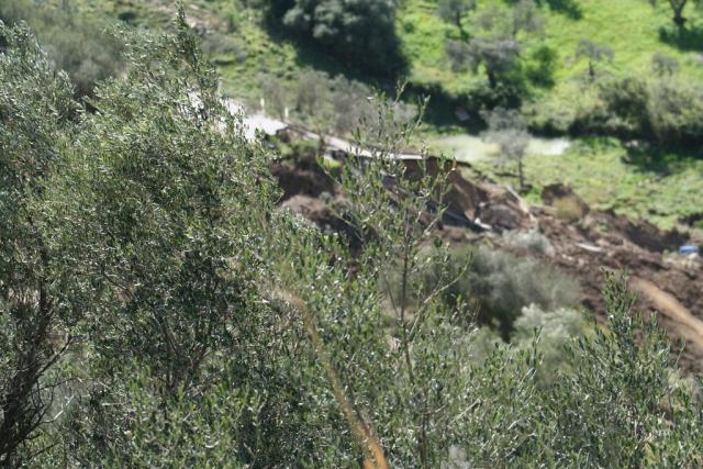 FOTO DI SALVO LA ROSA (166).JPG