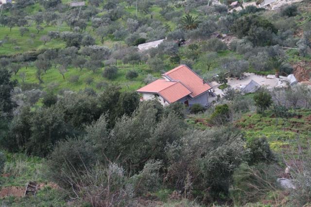 FOTO DI SALVO LA ROSA (209).JPG