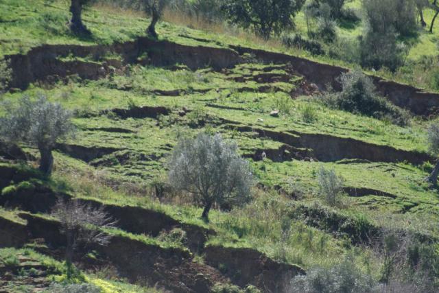 FOTO DI SALVO LA ROSA (69).JPG