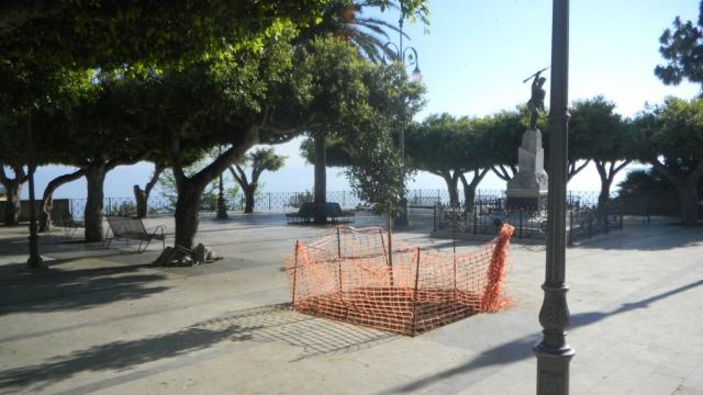 ALBERO NUOVO (2).JPG