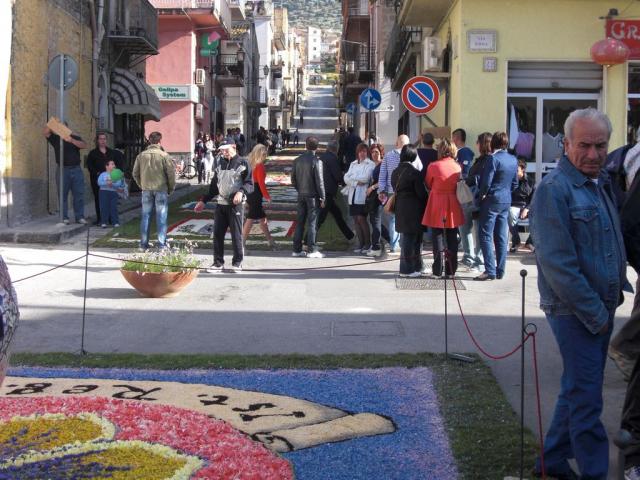 foto di pino (2).JPG