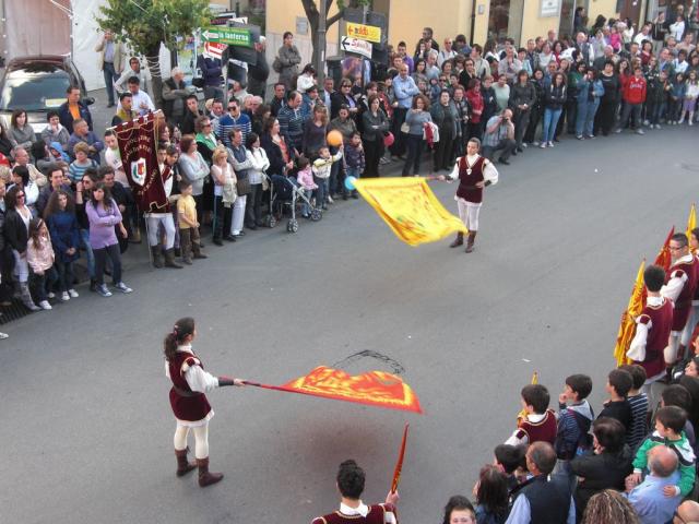 foto di pino (31).JPG