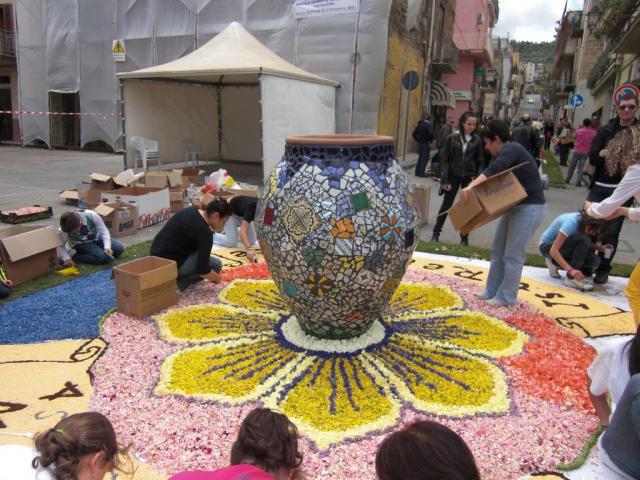 foto di pino (13).JPG