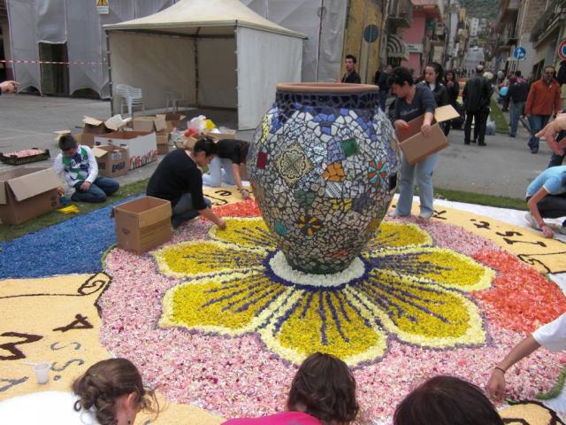 foto di pino (14).JPG