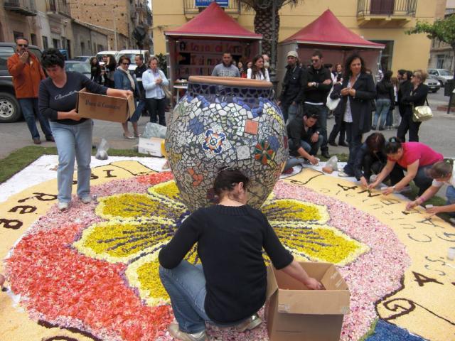 foto di pino (15).JPG