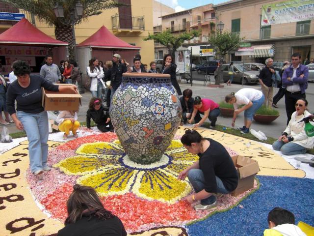 foto di pino (16).JPG