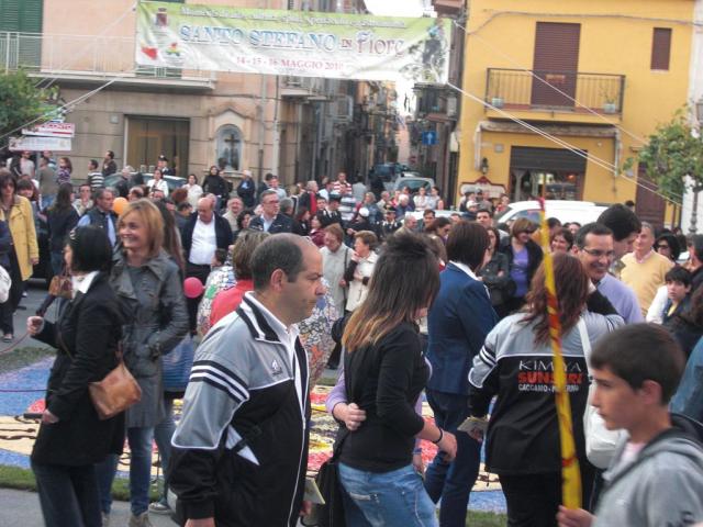 foto di pino (38).JPG