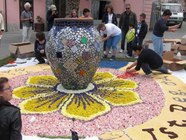 foto di pino (2).JPG