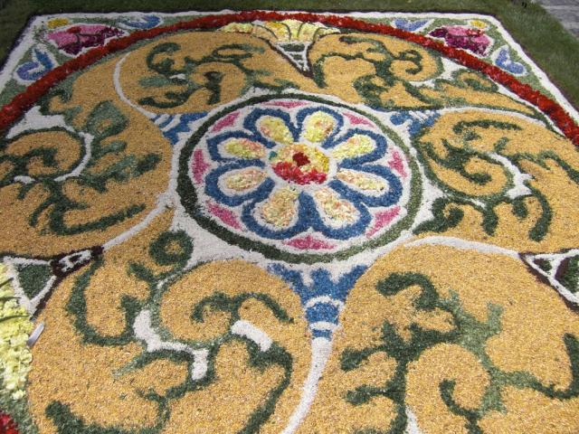 foto di pino (21).JPG