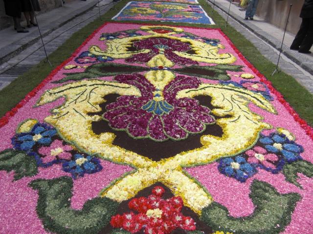 foto di pino (22).JPG