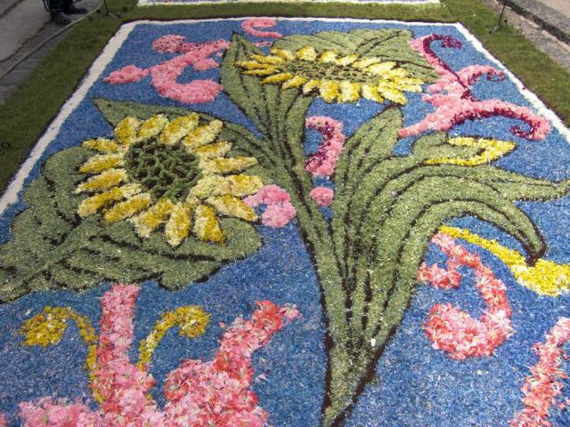 foto di pino (23).JPG