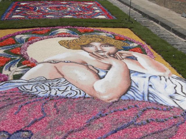 foto di pino (28).JPG