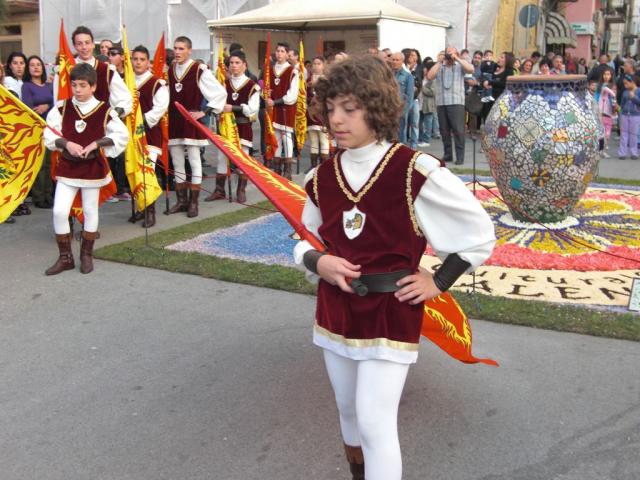 foto di pino (51).JPG