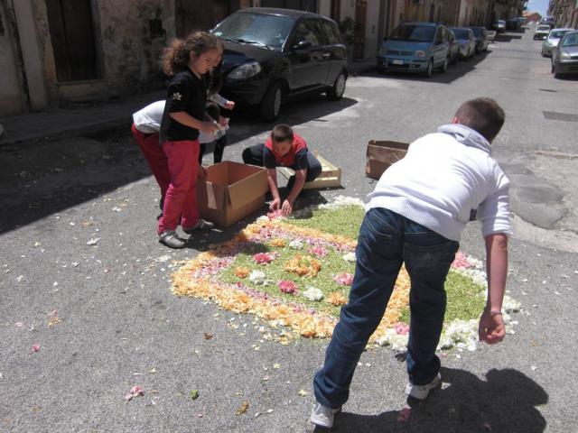 foto di pino (31).JPG