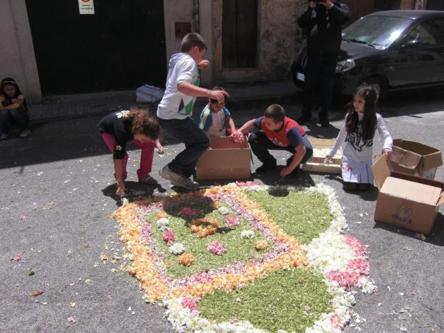 foto di pino (32).JPG