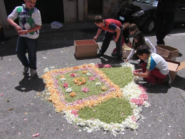 foto di pino (34).JPG