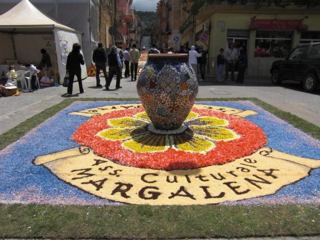 foto di pino (35).JPG