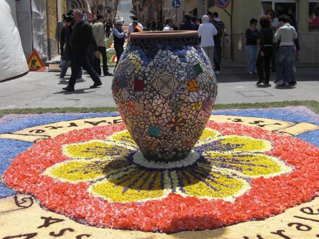 foto di pino (36).JPG