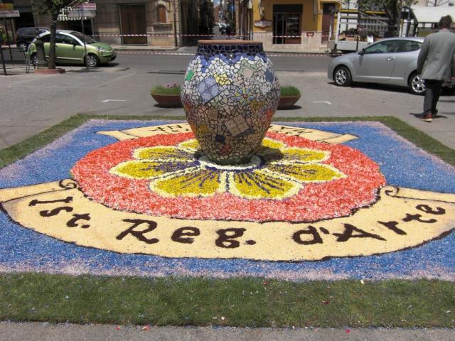 foto di pino (39).JPG