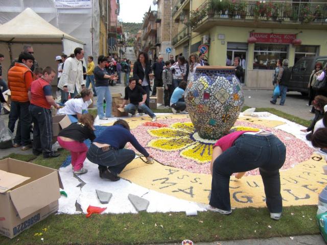 foto di pino (4).JPG