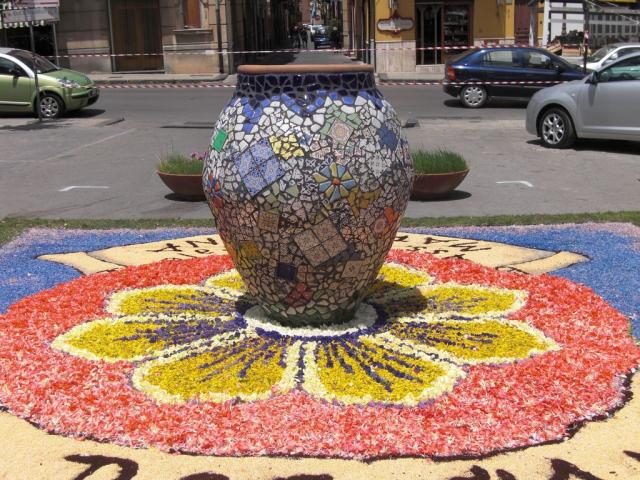 foto di pino (40).JPG