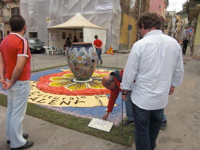 foto di pino (42).JPG