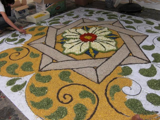 foto di pino (10).JPG