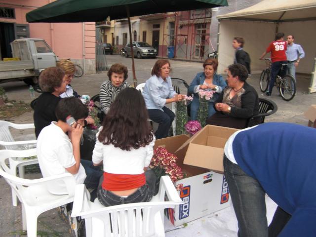 foto di pino (103).JPG