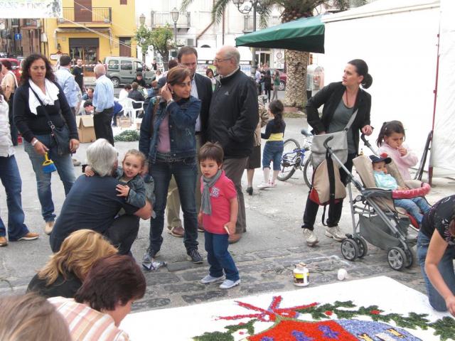 foto di pino (108).JPG