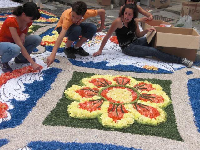 foto di pino (17).JPG