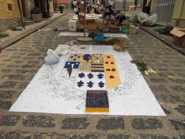 foto di pino (2).JPG