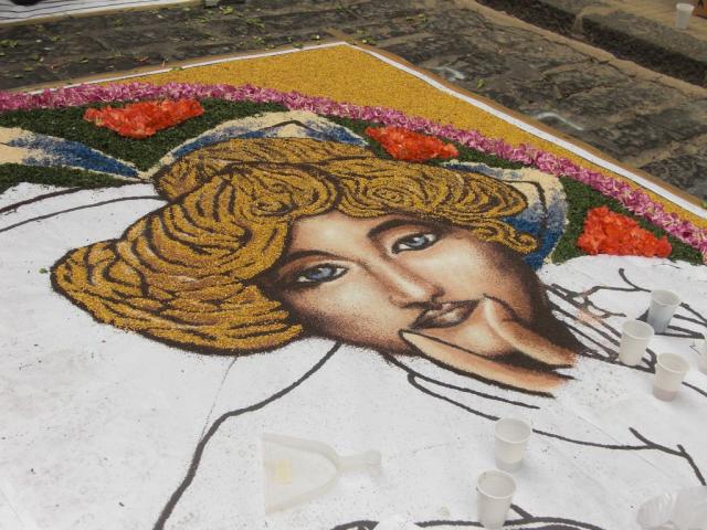 foto di pino (20).JPG