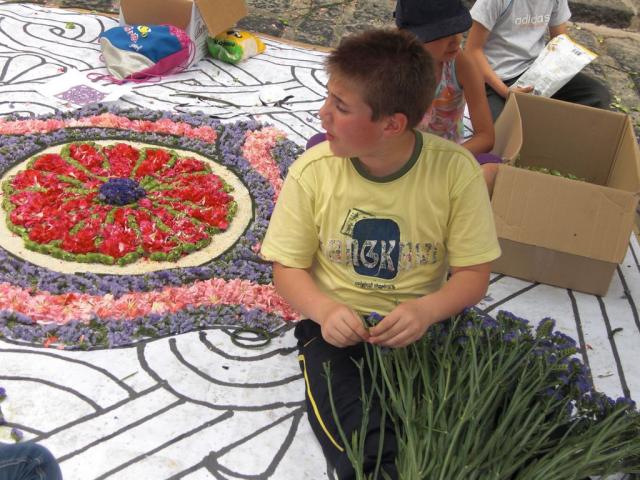 foto di pino (22).JPG